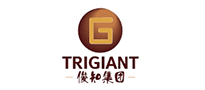 Trigiant Group Co., Ltd. - a representative enterprise of 5G construction in China